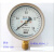 北京布莱迪氧气压力表YTFO-100(禁油氧气专用   外螺纹M20*1.5 0-1.6MPA