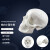 动力瓦特 小型头骨模型 骷髅模型 彩色头颅骨模型  小号头骨模型（10*7*8cm） 