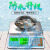 定制适用日本石田磅厨房小台称便携小型商用16两港斤英镑弹簧司马称 30KG可出小票/手机蓝牙版 真正全防水30港斤港两/英镑/公