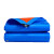 丰稚 塑料苫布 加厚蓝桔油布 遮阳户外防水篷布 蓝色雨布 8m×10m 单位：张