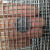 304不锈钢电焊网片防鼠网钢丝围栏窗户防护焊接网筛网防盗网 丝2.0mm/孔18mm/1X1米