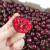 胤骁智利车厘子樱桃生鲜进口水果礼盒 J级精品果整箱2斤果径约26-28mm