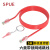 SPUE 六类成品网络跳线非屏蔽带锁防泄密跳线 ST-515-5M红 红色5米