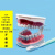 口腔备牙模型 牙科可拆卸牙齿排龈练习模具假牙模 口腔齿科材料 二倍放大模型(不可拆)