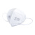爱途（AT）9501 KN95折叠耳戴式一次性口罩学生防尘防PM2.5口罩 白色1只装