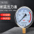 仪表不锈钢耐震压力表yn100油压液压表1.6mpa带油气压表 专用(订货3-5天)1.6mpa