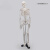 东部工品 人体骨骼模型 全身骨架展示教学模型 人体骨骼模型168cm 