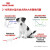 皇家（ROYAL CANIN）MIJ31小型犬幼犬狗粮 2-10月 【2-10月】MIJ31小型幼犬2kg