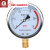 富阳华仪仪表不锈钢耐震压力表油压液压表带油气压表 0-60MPA=600公斤 M20*1.5