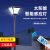 动真格（DongZhenGe）太阳能3米户外led照明路灯别墅小区公园景观灯人体感应AA 全套A款灯头+灯杆(送预埋件)