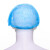 稳斯坦 WST559 一次性无纺布加厚条形帽 卫生保洁防尘帽 蓝色 100只/装
