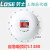 劳士3C认证新国标明装应急筒灯消防应急灯明装应急吸顶灯L13 L1380