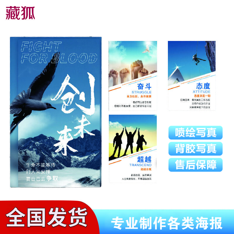 藏狐（ZANGHU） 户外宣传展板画面 127cm