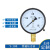 适用上海仪川仪表 径向负压真空压力表Y100 水压油压气压表 0-1.6 Y100 0-25MPa