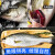 渔吻 海捕鲈鱼3条装 深海七星海鲈鱼生鲜鱼类海鲜水产烧烤食材 鲈鱼500g*3条