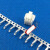 PHB压线双排PD端子带锁带扣连绕双排2.0mm端子后镀过盐雾 母端子-磷铜先镀(16000只/盘)