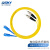 QSKY 电信级光纤跳线 SC-FC(UPC) 单模双芯 光纤线 收发器尾纤 3米
