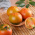 丹东草莓柿子 5斤西红柿新鲜碱地盘锦铁皮柿子自然熟生吃水果番茄 顺丰特大果 5斤 20个以内铁皮柿子