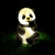 动真格（DongZhenGe）发光熊猫灯户外卡通灯动物灯亮化工程灯草坪灯太阳能景观灯AA 熊猫F款(太阳能) 60*29*35cm