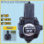 定制适用油泵变量叶片泵PVS-HL-20D-10 30D 40D 12D 15D 赫力PVS-HL