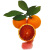 觅滋客正宗重庆万州新鲜塔罗科玫瑰香橙血橙5-9斤夏季榨汁水果香甜果子 55mm(含）-60mm(不含） 小 2斤