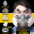 盛融乾 化学实验室防毒面具全面罩喷漆化工防尘面罩防护 311硅胶防尘毒套装+防雾大眼罩+