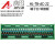 2~24路PLC交流放大板可控硅输出光耦隔离驱动板无触点继电器兼容 10路交流放大板