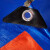 锦安行 JCH-PEB-2-8 PE 防雨篷布 工业加厚彩条布防雨布雨棚布帆布 6mx14m 红蓝色 厚0.2mm 克重135g/m²