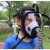 XMSJ山头林村电动风长管呼吸器单人双人多人防护全面罩 自吸式长管呼 四人主机+20米管面罩