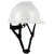 达林韦尔 碳纤维纹路 工地盔 安全帽 ABS工业防砸防撞工程建筑 国标 印字 碳纤维色亮黑 