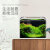 DRONTAL森森超白玻璃金鱼缸 客厅小型生态缸草缸鱼缸乌龟缸 办公室造景 长29.5cm热弯超白裸缸
