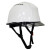 惠利得厦门abs工程头盔领导建筑工地施工安全帽白色男国标印字 白色 无孔 双色