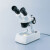 AP 亚速旺 双目立体显微镜 不涉及维保 起订量1台 ST30RDL(10~20个) 货期45天