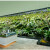 led嵌入式植物射灯育苗绿植室内全光谱天花太阳墙补光生长 15W 全光谱 全光谱 白光 6000K