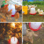 齐鲁安然 鸡用自动饮水器 家禽喂水器 饮水壶小鸡鸭鸽子水桶养鸡用品设备 鸡饮水桶【2升容量】