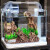 DRONTAL森森超白玻璃金鱼缸 客厅小型生态缸草缸鱼缸乌龟缸 办公室造景 长23cm热弯超白裸缸