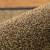 金诗洛 K234 门口清洁地垫 干湿分离拼色门垫擦鞋底脚垫吸水地垫自动清洁脚踏地毯 咖啡系50*85cm