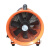 手提式轴流风机220v便携排气扇抽风防爆工业除粉尘设备抽风机 10寸手提式抽风机+管道10米(普