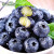 怡颗莓云南蓝莓小果6盒新鲜采摘鲜果宝宝孕妇辅食水果 云南当季-中果125g*7盒装