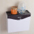 卫生间纸巾盒免打孔厕所卫生纸盒厕纸盒手纸盒浴室卫生纸置物架 褐色优雅透明（送升级版无痕贴）