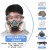 LISM防毒面具全面罩全脸喷漆专用防尘口罩防工业粉尘防护放毒氧气面罩 (升级款)硅胶防尘毒面具+防雾大