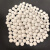 典南 精抛高铝瓷圆球磨料圆球抛磨块精抛光磨料白色研磨石氧化铝陶瓷  Φ1mm（25KG/袋) 