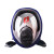 普达 自吸过滤式防毒面具 MJ-4010呼吸防护全面罩 面具(不含管子和过滤罐)