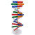 铸固  人体基因DNA双螺旋模型 科技小制作手工diy生物科学实验科普教具 人体基因DNA模型（1套起拍）