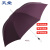 天堂 164E碰1号超大直杆伞晴雨两用伞  加固加厚户外防风雨伞 加大双人伞 紫色 长柄
