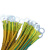 金杯电缆 铜芯聚氯乙烯绝缘软电缆 BVR-450/750V-1*120 黄绿色 21m