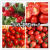 菜友红玉樱桃番茄红圣女番茄水果番茄小番茄种子大棚露天蔬菜种子 红玉番茄种子1袋