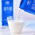 乍甸乳业森林牧场纯牛奶250g*12云南高原牧场营养早餐奶学生奶