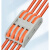快速接线端子 多功能电线连接器导线对接线夹分线接头连接端子 4进4出/10只(橙色款)