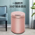智能垃圾桶自动感应北欧风垃圾桶带盖垃圾桶客厅卧室大容量卫生间 香槟金 8L